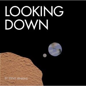 Looking Down -- Steve Jenkins